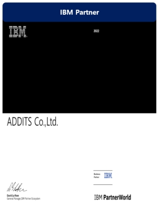 IBM Partner